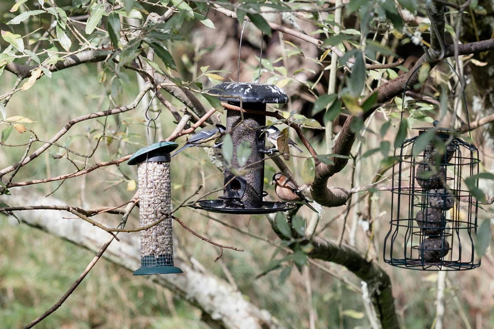 Siskin Guest Suite Kinrara Zewnętrze zdjęcie